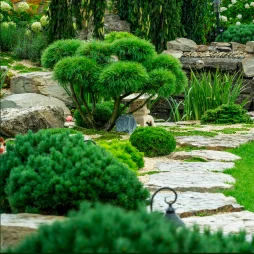 Garten und Landschaftsbau München
